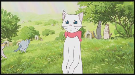 The Cat Returns Studio Ghibli Image 25648715 Fanpop