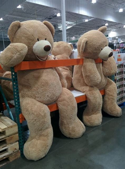 Best Life Sized Stuffed Teddy Bears