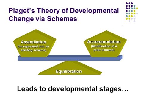 Jean Piaget S Theory Of Cognitive Development Stages 46 OFF
