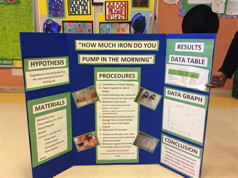 Room 23 Science Fair Projects