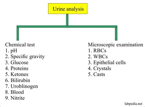 Urine Analysis Part Types Of Urine Samples Preservatives And Urine Analysis Labpedia Net