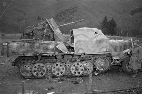 Catainiums Tanks Sdkfz 72 Anti Aircraft Half Track