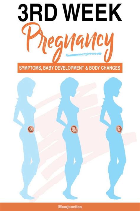 pregnancy symptoms at 3weeks pregnancysymptoms