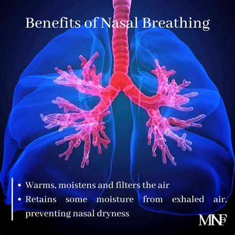 Benefits Of Nasal Breathing Smile Specialists