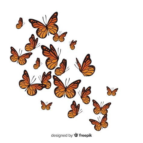 Dibujos Mariposa Realista Bosquejo Detallado Realista De Una Mariposa