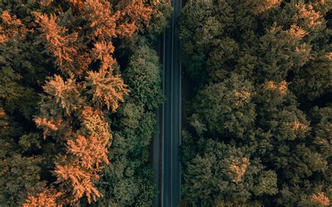 Download Wallpaper 3840x2400 Road Trees Forest Aerial View 4k Ultra