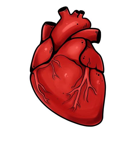 Human Cartoon Heart Image Carports Garages