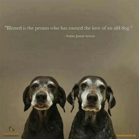 Two Dogs Sitting Next To Each Other In Front Of A Quote