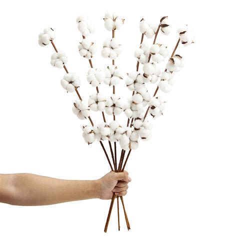 6 pack 27 inch cotton stems farmhouse decor rustic style vase filler floral 647726925646 ebay