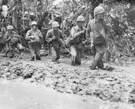 battle of bougainville 37th infantry division s battle for hill 700