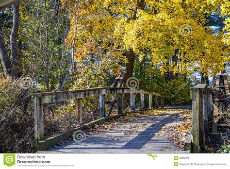 Foot Bridge In The Fall Stock Image Image Of Central 36863511
