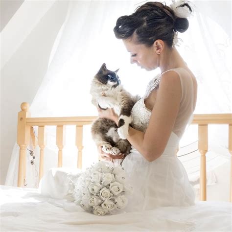 These Wedding Photos Featuring Cats Are Everything Meowingtons