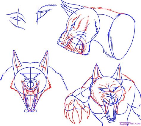 How To Draw A Werewolf Face Head Eyes Step 4 Wolf Face Drawing