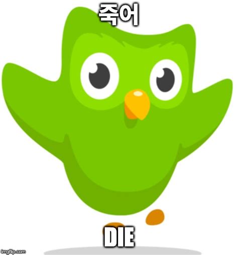 Duolingo Owl Imgflip