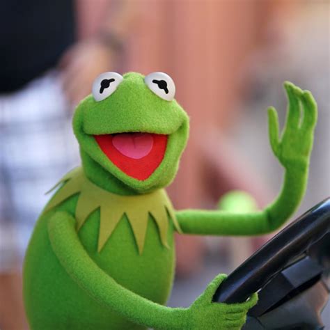 Kermit The Frog On Twitter Just Wanted To Hop Into Your