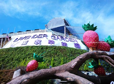 It is approximately 85km from ipoh or about 200km from kuala lumpur. Cameron Lavender Garden @ Cameron Highlands 28/7/2014 | 低空 ...