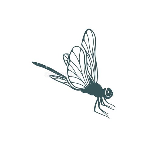 Dragonfly Design Vector Illustration Creative Dragonfly Logo Design