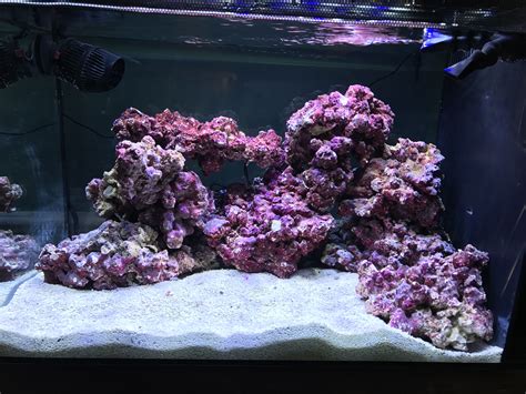 Unique aquascaping ideas needed the reef tank freshwater. First Saltwater Tank Aquascape - Aquascaping Forum - Nano ...