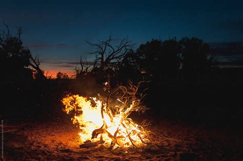 Campfire Or Bonfire In Desert Wilderness At Sunset Stock Image