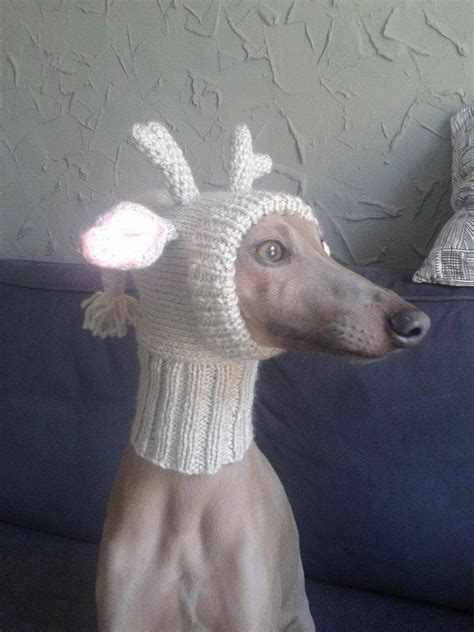 Reindeer Hat For Greyhounds Reindeer Hat Knitted Hats