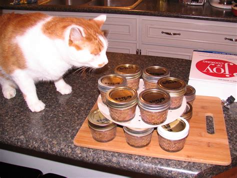 Here we look at the different options and speak to clinical animal nutritionist marge chandler for her advice on dietary changes. Homemade canned cat food | Jimmy Cracked Corn