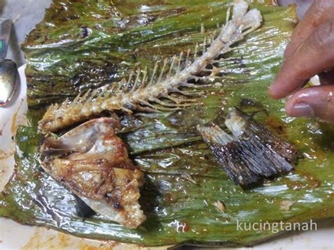 #35 nasi kandar line clear. Jom Jalan... Jom Makan...: Nurul Ikan Bakar Special, Penang