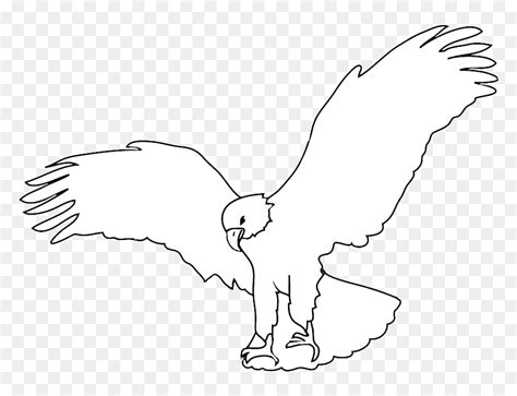 Sketch Of Bald Eagle Landing Hawk Hd Png Download Vhv