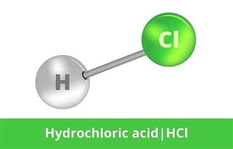 Hydrochloric Acid The Definitive Guide Biology Dictionary