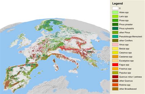 Tree Species Maps For European Forests European Forest Institute