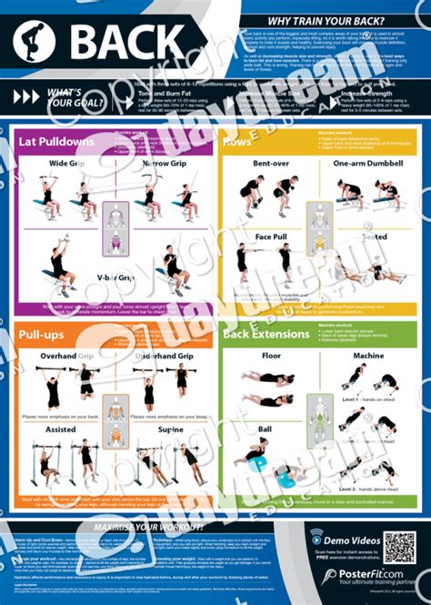 Even 30 minutes of exercising daily is known to balance hormones, manage stress, and people practicing yoga are known to be better at fighting with stress, depression etc while having strong immunity system, hormonal balance, body strength and flexibility. Health & Fitness Basics Poster Set | Gym and Fitness Poster