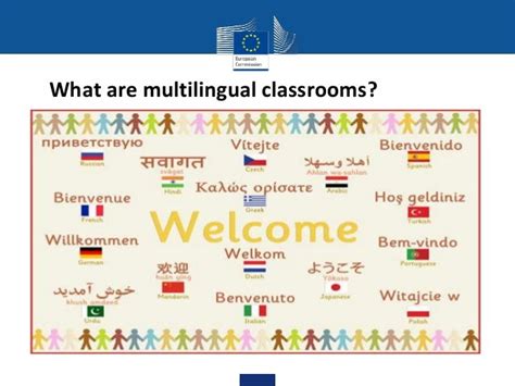 Language Learning And Teaching In Multilingual Classrooms