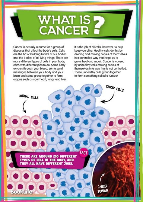 Free Understanding Cancer Poster Booklife