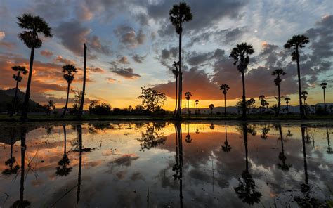 Palm Trees Reflection Landscape Water Mountain Sunset