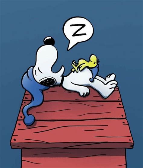 Zzzz Snoopy Sleeping Snoopy Sleeping Snoopy Pictures Snoopy