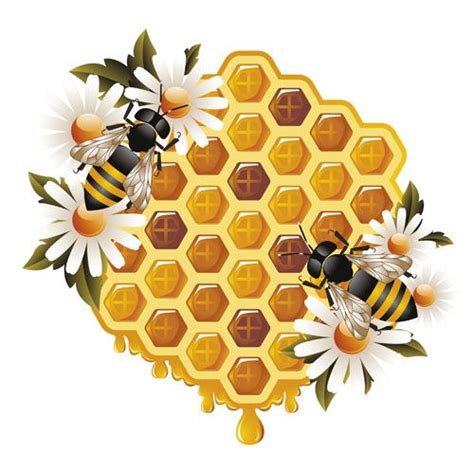 Elements Of Honey And Bees Vector Set 01 Vector Animal