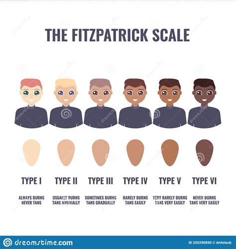 Fitzpatrick Skin Type Classification Scale In Women Vector Illustration