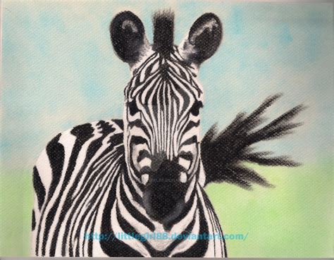 Zebra By Littlegirl88 On Deviantart