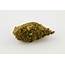 Confidential Cheese Strain Of Marijuana  Weed Cannabis Herb
