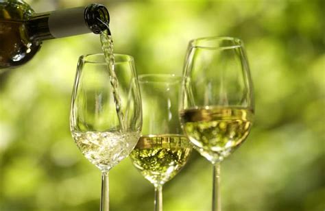 6 traits of the world s healthiest wines loyal imports