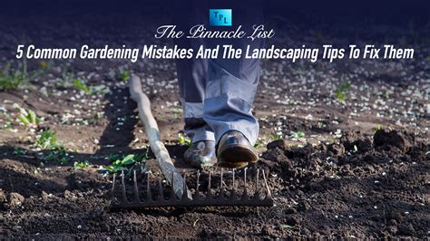 Common Gardening Mistakes And The Landscaping Tips To Fix Them The