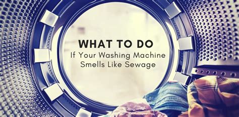 Try the following diy solutions to eliminate foul shower drain smells. Why Does My Laundry Drain Smell Like Rotten Eggs - Best ...