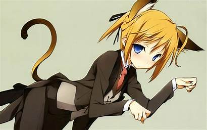 Tail Nekomimi Mayo Anime Ears Cat Chiki