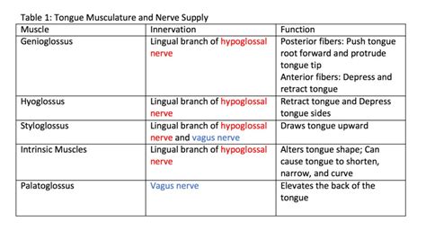 Tongue Muscle Innervation