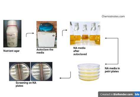 Nutrient Agar Definition Composition And Reliable Uses Chemistry Notes