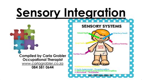 Sensory Integration Carla Grobler Occupational Therapist