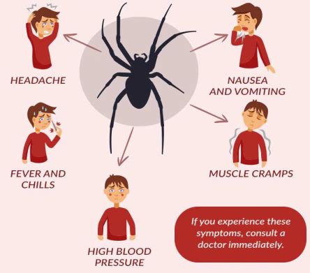 If you do get bitten, you will get sick very quickly. What to Do If You're Bitten by a Spider | Self Help Daily