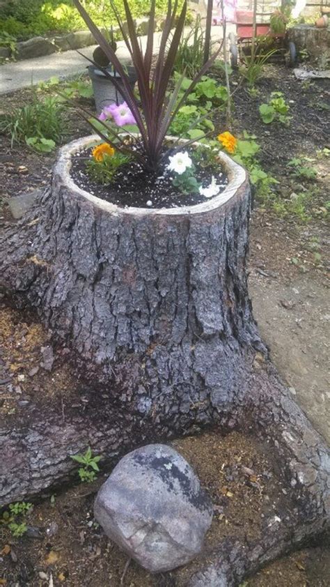Pin On Stump Planters