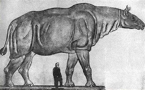 Top 10 Biggest Land Mammals That Ever Walked The Earth Ancient