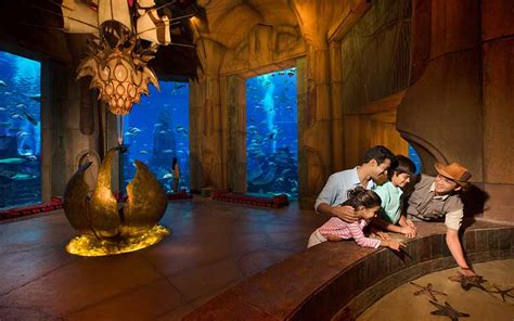 Complete Guide About The Lost Chambers Aquarium Dubai