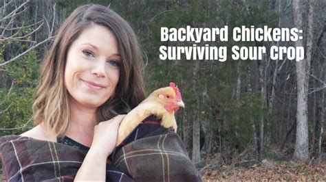 Backyard Chickens | Surviving Sour Crop 